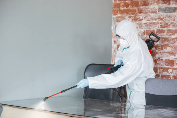 Environmental Consulting for Mold Prevention