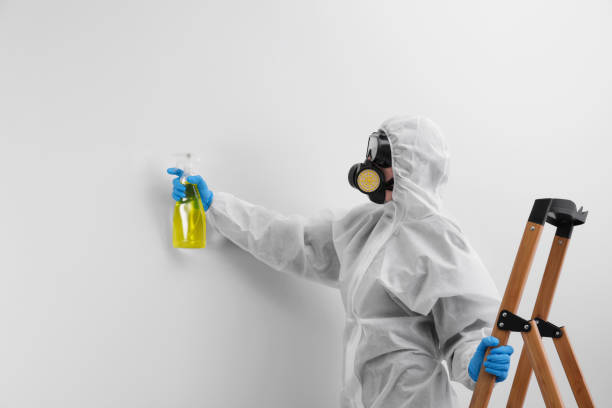 Lake Park, IA Mold Removal Services Company